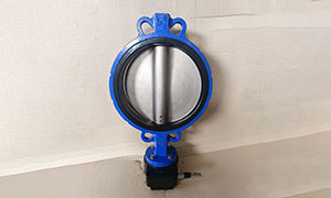 DN300(12 Inch) PN10/PN16/150LB Worm Gear Butterfly Valve Price, Suppliers and Manufacturers