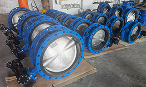 Resilient Seat Flanged Butterfly Valve Wholesale to Dubai