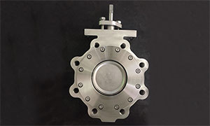 Stainless Steel High Performance Lug Butterfly Valve