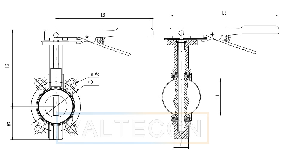Stainless Steel Wafer Butterfly Valve with PTFE Seat Dawing