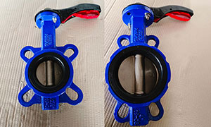 API 609 Wafer Butterfly Valve, PN16, Export to Malaysian
