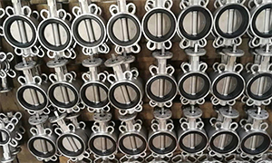 API609 Wafer Butterfly Valve DN100 PN16 Sales to Singapore