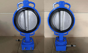 DN200(8 Inch) DI body Wafer Butterfly Valve with Gearbox Price, Manufacturers & Suppliers
