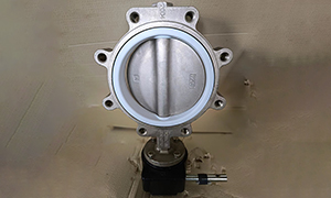 DN200(8 Inch) SS Butterfly Valve price, suppliers & Manufacturers