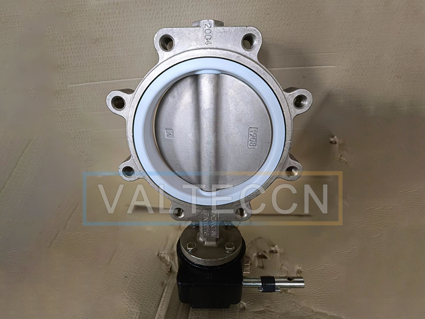 DN200(8 Inch) SS PTFE Seated Butterfly Valve Gear Type