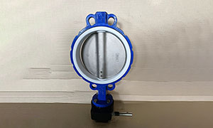DN250(8 Inch) Wafer Butterfly Valve with PTFE Seat Price, Manufacturers & Suppliers