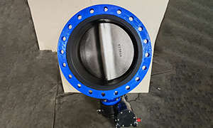 DN500(20inch) Flanged Butterfly Valve PN16 Sales to South Africa