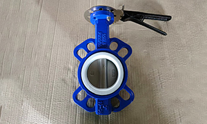 DN80(3 Inch) DI Butterfly Valve with Teflon Seat Price, Manufacturers & Suppliers