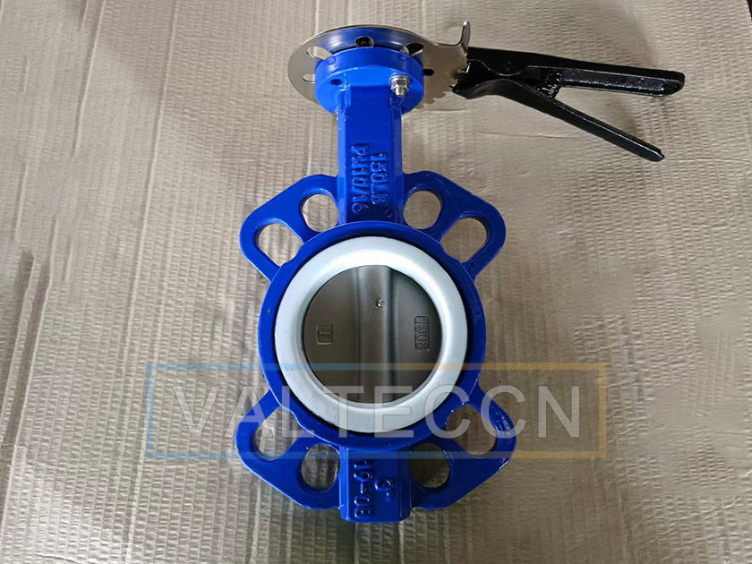 80(3 Inch) Ductile Iron Butterfly Valve with Teflon Seat