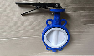 Ductile Iron PTFE Coated Butterfly Valve Hand Lever Export to Italy