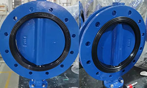 EN558 U Type Butterfly Valve with EPDM Seat Exported to Europe