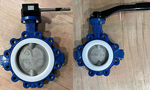 PTFE-lined Wafer and Lug Type butterfly valve Sales to Canada