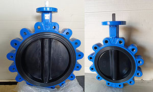 WRAS Lugged Butterfly Valve, EPDM Coating sold to South Africa