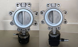 DN100(4 Inch) Lug Style Butterfly Valve with PTFE Seat Factory, Supplier & Manufacturer