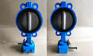 DN150(6 Inch) Ductile Iron Butterfly Valve with Worm Gear Price, Manufacturers & Suppliers