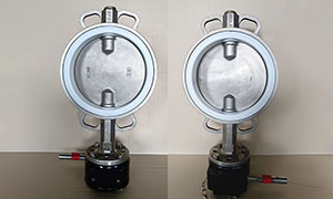 DN200(8 Inch) Stainless Steel Butterfly Valve Wafer Type Price, Suppliers & Manufacturers