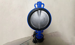 DN400(16 Inch) Butterfly Valve Wafer Type Price, Suppliers and Manufacturers