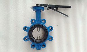 DN80(3 Inch) Lug Type Butterfly Valve (Resilient Seat) Price, Suppliers & Manufacturers