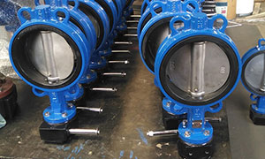 Resilient Seated Butterfly Valves DI body are Exported to Poland
