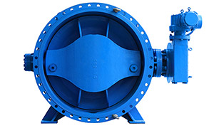 Bidirectional Soft Seal Flange Butterfly Valve for Seawater