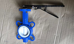 Small Size Dn50 (2 Inch) PTFE Lined Butterfly Valve