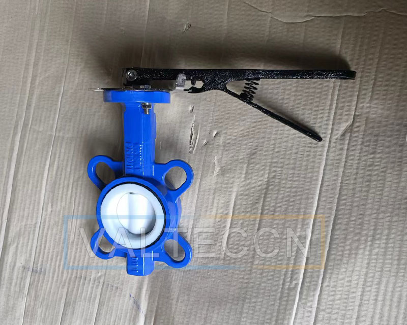 Small Size Dn50 (2 Inch) PTFE Lined Butterfly Valve