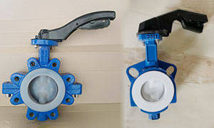 PTFE and PFA Butterfly Valve Material Differences