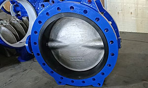 API609 24 inch flange butterfly valve was exported to UK