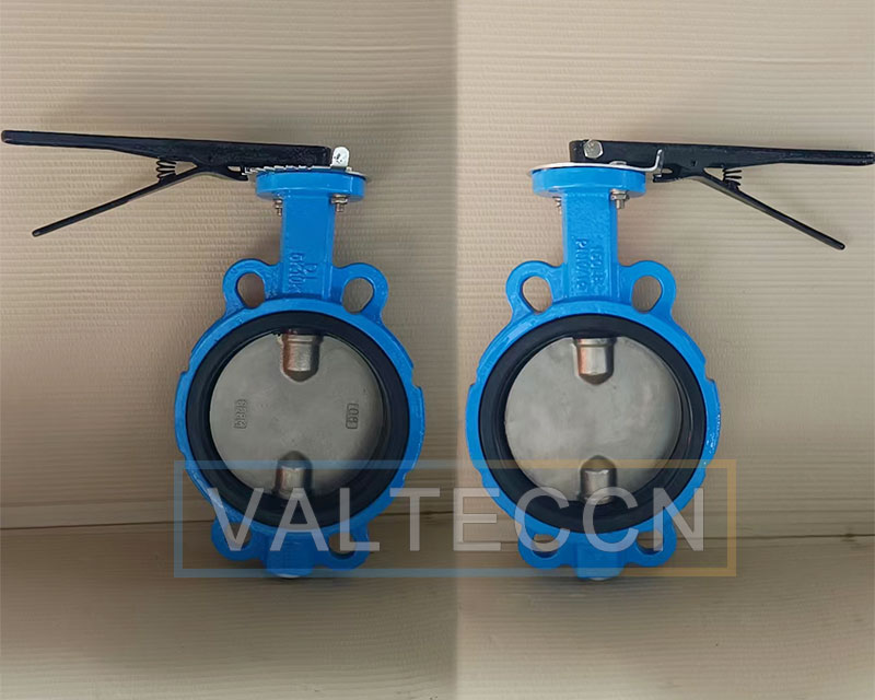 GGG40 Butterfly Valves EPDM seat