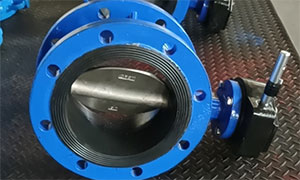 Worm gear flanged butterfly valve for export to the UK
