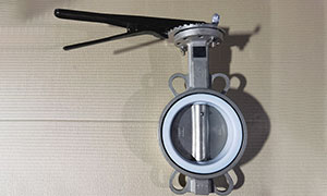 Stainless steel wafer butterfly valve was export to Malaysia