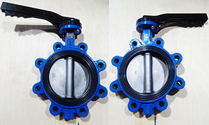 DN150(6 Inch) Lug Type Butterfly Valve PN10/16 Suppliers and Manufacturers