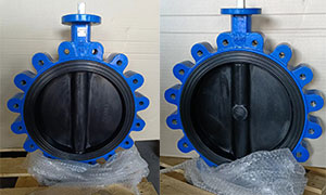 DN350(14 Inch) Lug Butterfly Valve PN10 Supplier and Manufacturer