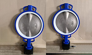 DN350 (14 Inch) Worm Gear Operated Butterfly Valve