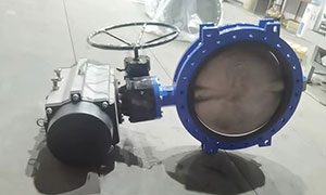 Pneumatic U-type butterfly valve exported to Dubai