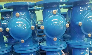 Ball Type Check Valves are Exported to Italy