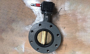 Seawater Flange Butterfly Valve with Aluminum Bronze Disc