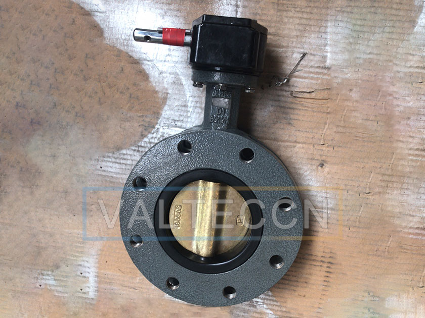 Butterfly valve with aluminium bronze disc suitable for sea water use