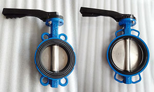 Soft back and hard back butterfly valve introduction