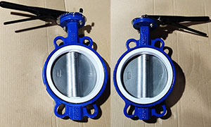 WCB Wafer Type Butterfly Valve Exported to India