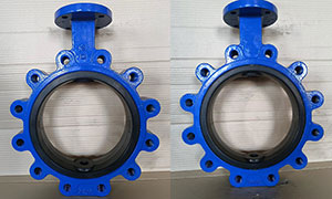 Ductile Iron Butterfly Valve body Supplier and Manufacturer