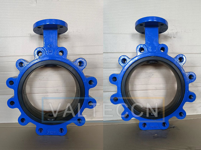 Ductile Iron Butterfly Valve body Picture