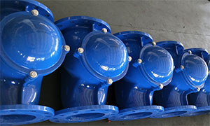 Ball Type Check Valves Exported to Europe for Water Treatment Applications