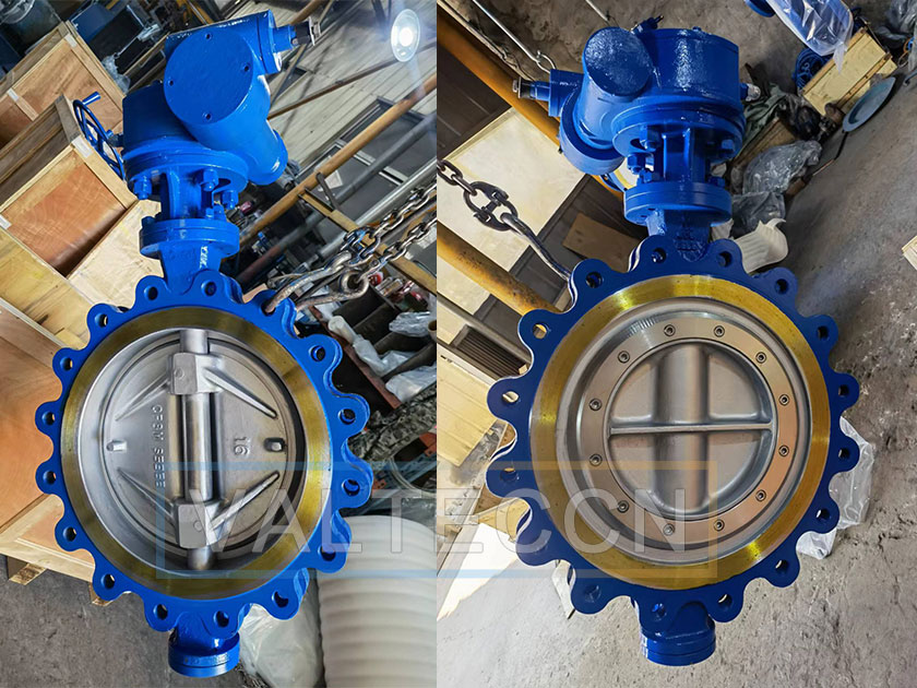 Wcb body Worm Gear Operated Triple Offset Lug Butterfly Valve