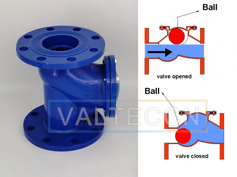 Ball check valve picture