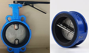 What is the difference between butterfly valve and butterfly check valve?