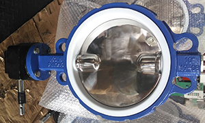 PTFE Seated Butterfly Valve with Polished Disc Exported to Europe