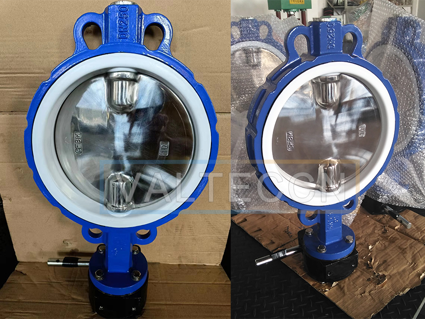 Worm Gear PTFE Seated Butterfly Valve with Polished Disc