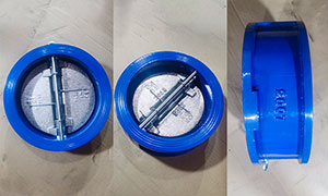 Dual Plate Wafer Type Check Valve exported to India