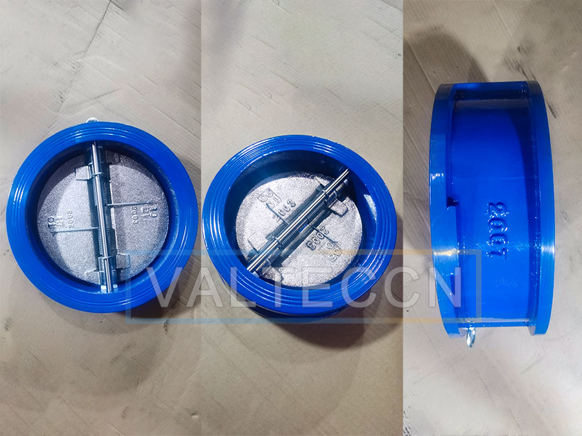 Dual Plate Wafer Type Check Valve exported to India
